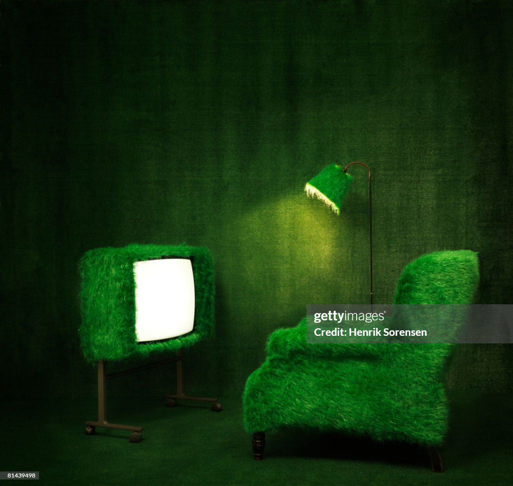 Green room with a turfed television.