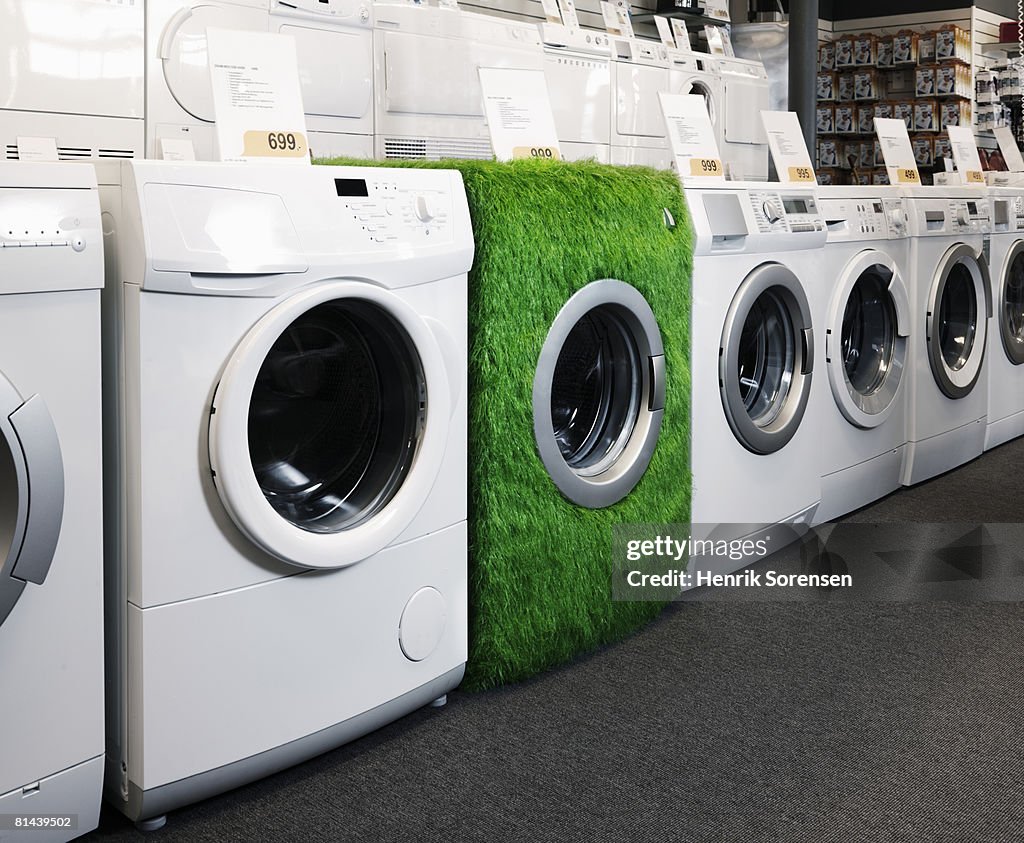 Shop with washers lined up on display and one washer covered with grass.