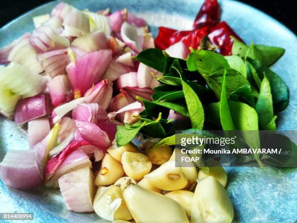 close-up of a ingredients on plate - kadapa stock pictures, royalty-free photos & images