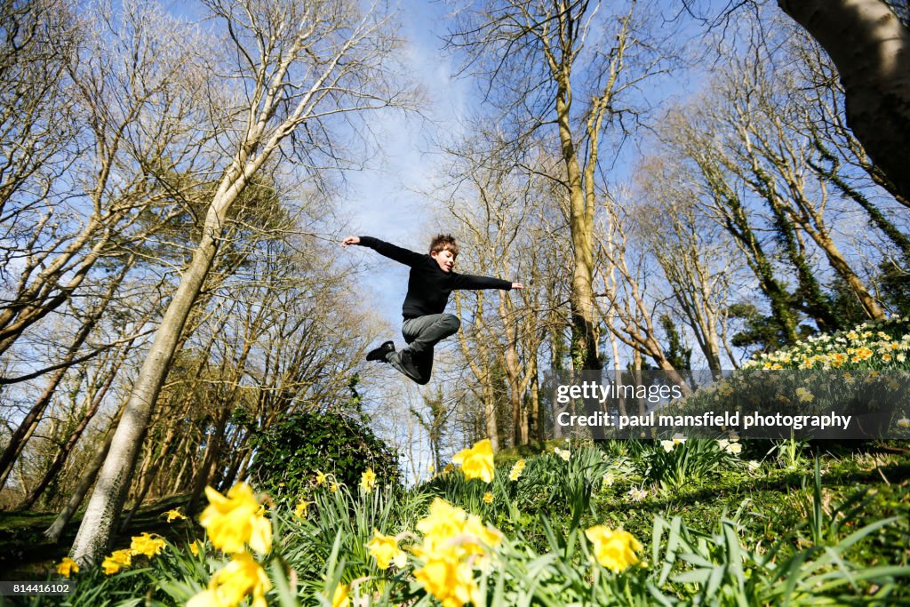 Boy jumping over daffodils