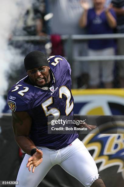 Football: Baltimore Ravens Ray Lewis entering field and dancing during player introductions before game vs San Diego Chargers, Baltimore, MD 10/1/2006