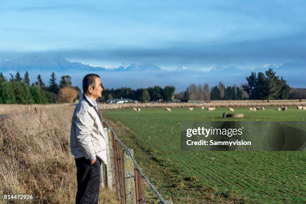 a man looking at the farm - te anau stock pictures, royalty-free photos & images