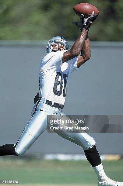 Football: Oakland Raiders Jerry Rice in action during mini camp, Oakland, CA 6/16/2001