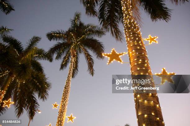 Christmas lights wrapped around palm trees at Miami Beach.