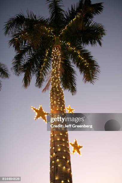 Christmas lights wrapped around a palm tree at Miami Beach.