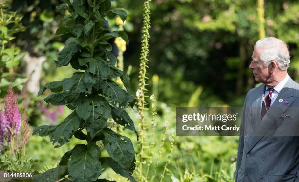 Prince Charles, Prince of Wales takes a tour of the gardens at Plas Cadnant Hidden Gardens during The Prince of Wales' annual summer visit to Wales...