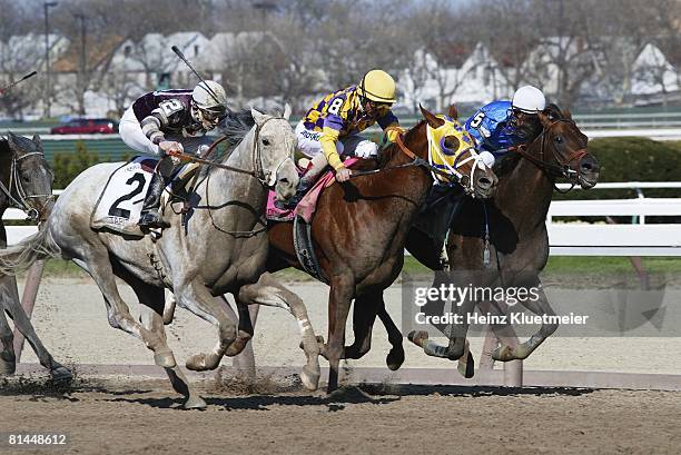 Talpit Raced Jamaica Race Track Photos and Premium High Res Pictures - Getty Images