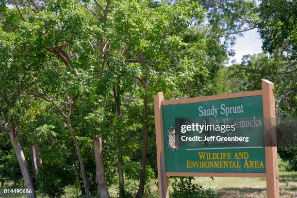 16 Sprunt Stock Photos, High-Res Pictures, and Images - Getty Images