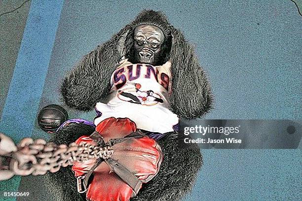 Basketball Gorilla Photos and Premium High Res Pictures - Getty Images