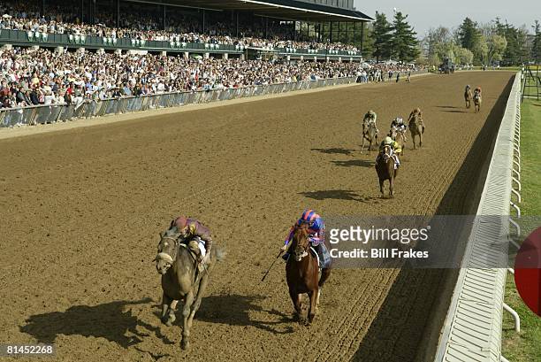 Horse Racing: Blue Grass Stakes, Shane Sellers in action aboard The Cliff's Edge at Keeneland, stadium, Lexington, KY 4/10/2004