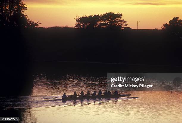 Cslb Rowing 225 Ucsb Campus Stock Photos, High-Res Pictures, and Images - Getty Images