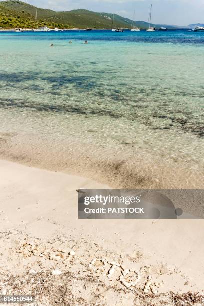 sakarun sandy beach - sakarun bildbanksfoton och bilder