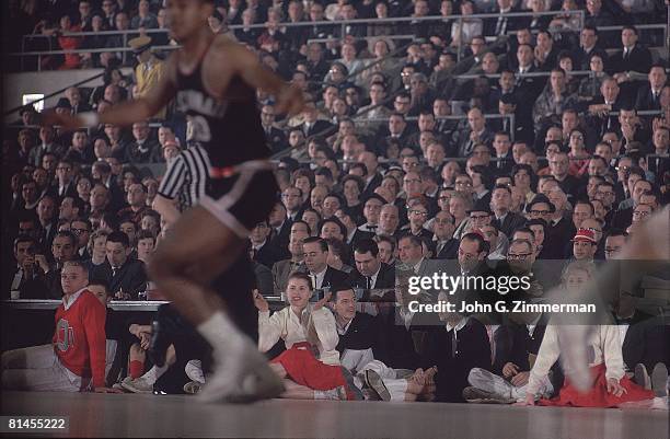 College Basketball: NCAA Final Four, Ohio State cheerleaders and fans during game vs Cincinnati, Louisville, KY 3/24/1962