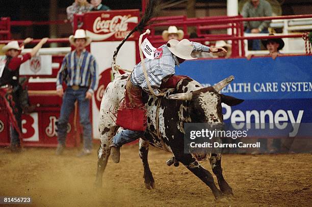 Mosquito Rodeo Mesquite Texas Rodeo Photos and Premium High Res Pictures - Getty Images