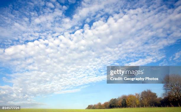 Mackerel sky clouds above summer county landscape, Shottisham, Suffolk, England, UK.