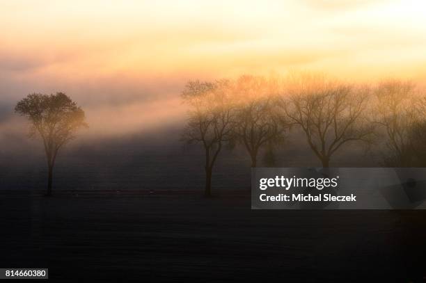 passage of the crane - penetrating stock pictures, royalty-free photos & images