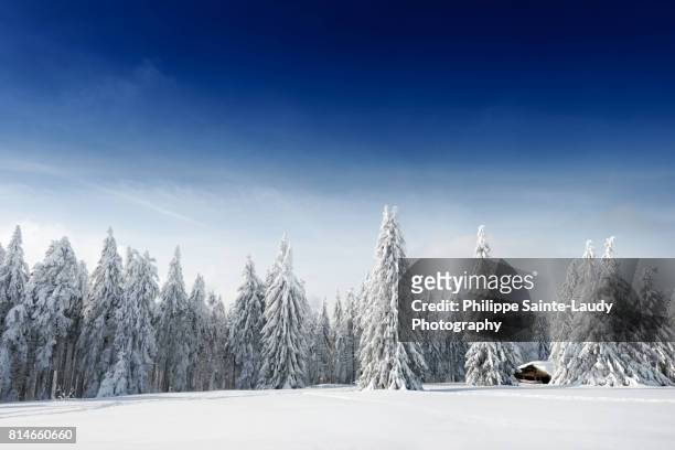 fresh snow - neige épaisse photos et images de collection