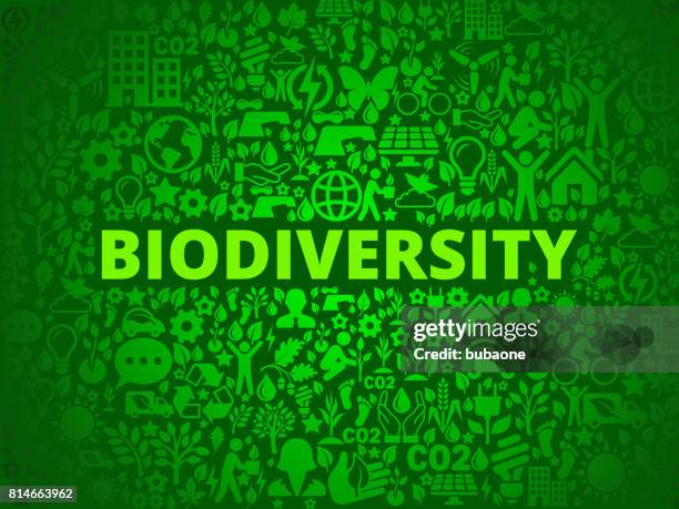 biodiversity environmental conservation vector icon pattern - activist icon stock illustrations