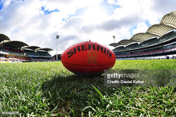 Sherrin football is pictured on Adelaide Oval from the southern end prior to the round 17 AFL match between the Port Adelaide Power and the North...