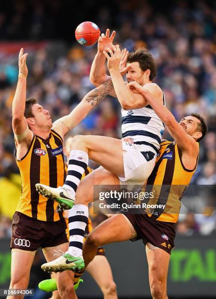 Patrick Dangerfield of the Cats marks over the top of Luke Hodge of the Hawks during the round 17 AFL match between the Geelong Cats and the Hawthorn...