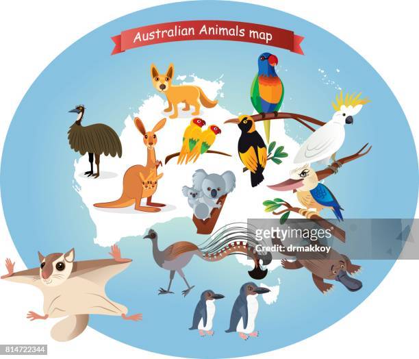 australische tiere karte - natural landmark stock-grafiken, -clipart, -cartoons und -symbole
