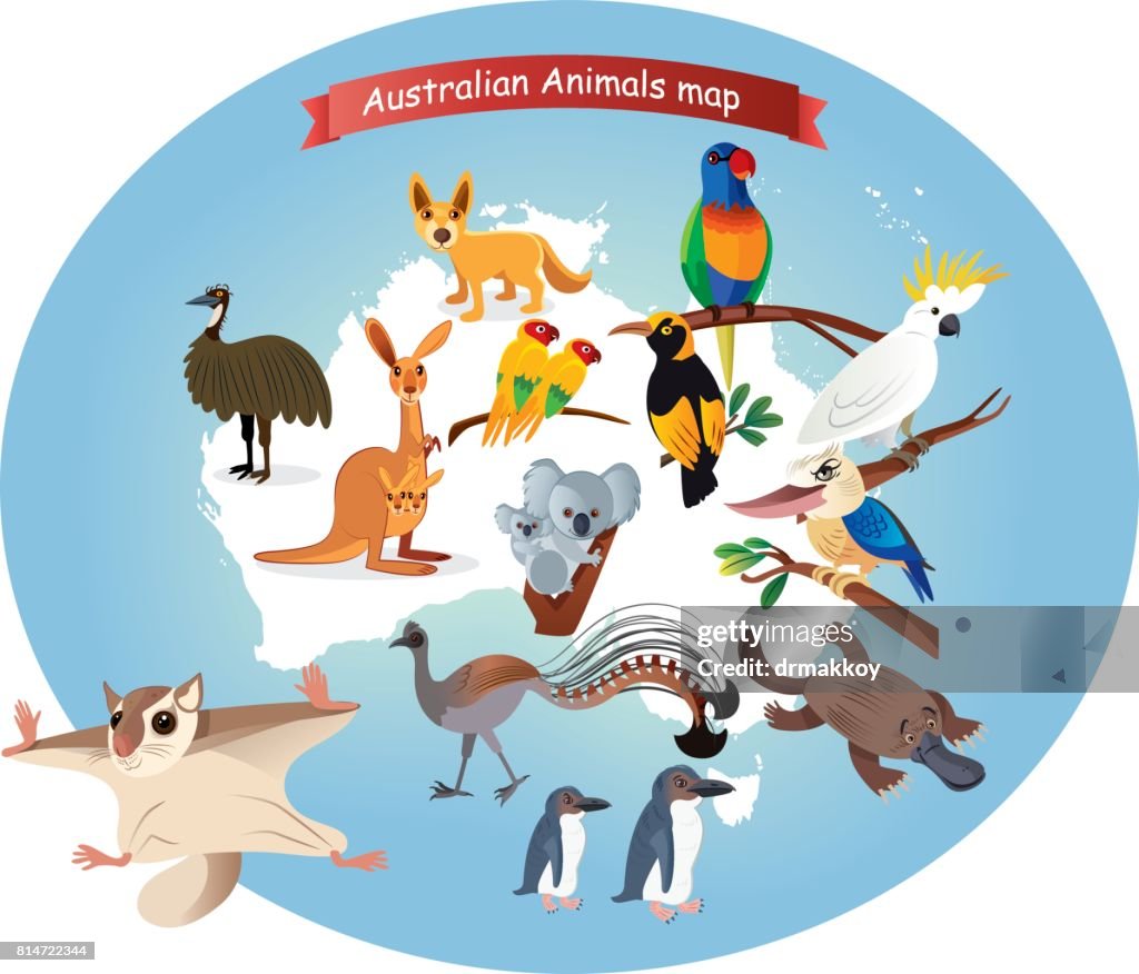 Australian Animals Map High-Res Vector Graphic - Getty Images