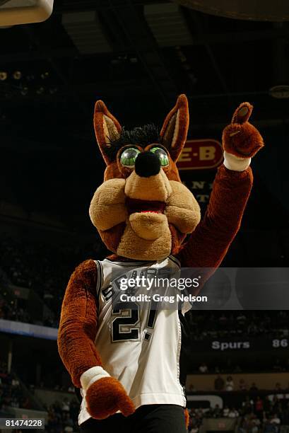 Download San Antonio Spurs Mascot Coyote Wallpaper