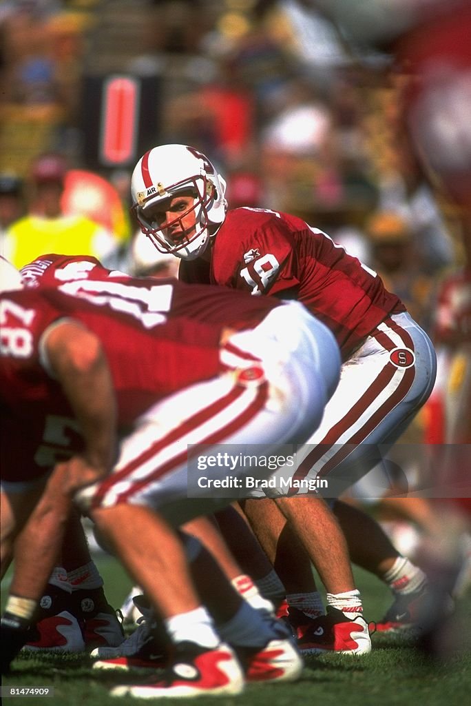 Stanford QB Steve Stenstrom during game vs Arizona, Stanford, CA News