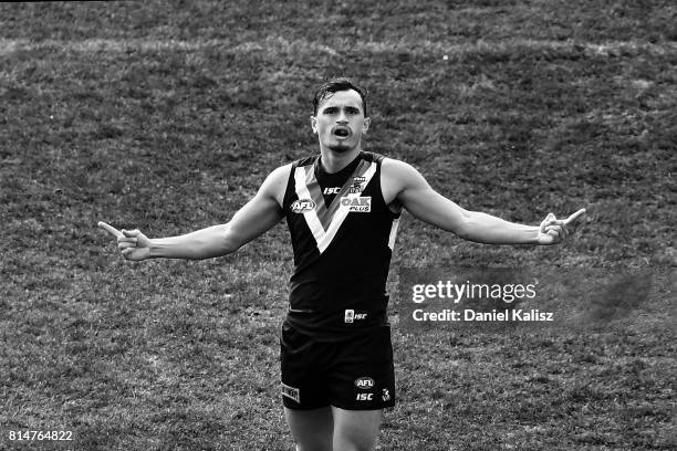 Sam Powell-Pepper of the Power celebrates after kicking a goal during the round 17 AFL match between the Port Adelaide Power and the North Melbourne...