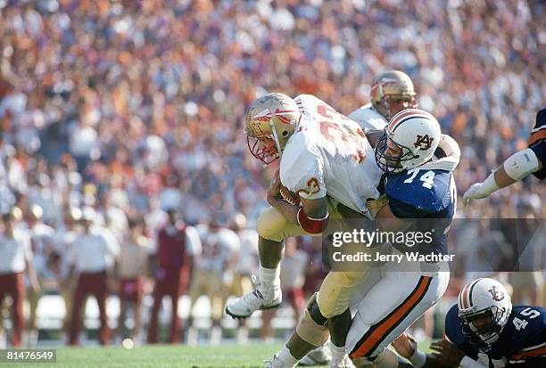 67 Tracy Rocker Stock Photos, High-Res Pictures, and Images - Getty Images