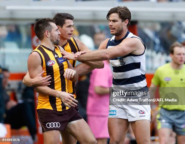 Tom Hawkins of the Cats remonstrates with Luke Hodge of the Hawks after Hodge accidentally kicked Cameron Guthrie of the Cats while attempting to...