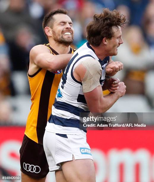 Luke Hodge of the Hawks playing his 300th game remonstrates with Jed Bews of the Cats after Bews laid a late bump on Billy Hartung of the Hawks...