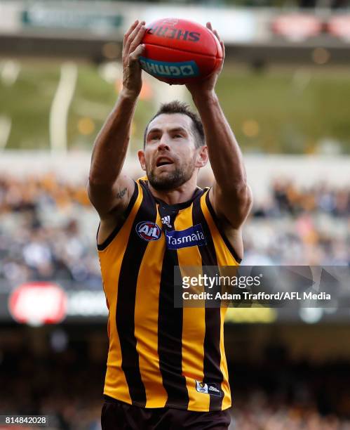 Luke Hodge of the Hawks marks the ball in his 300th game during the 2017 AFL round 17 match between the Geelong Cats and the Hawthorn Hawks at the...