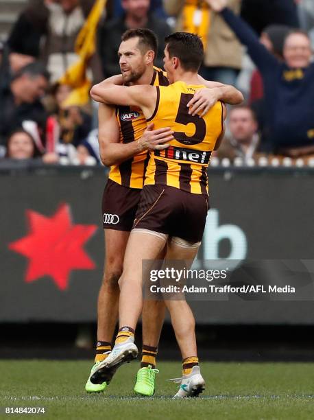 Luke Hodge of the Hawks celebrates a goal in his 300th game with Ryan Burton of the Hawks during the 2017 AFL round 17 match between the Geelong Cats...