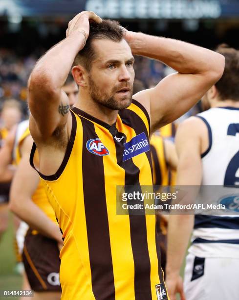 Luke Hodge of the Hawks looks dejected after a loss in his 300th game during the 2017 AFL round 17 match between the Geelong Cats and the Hawthorn...