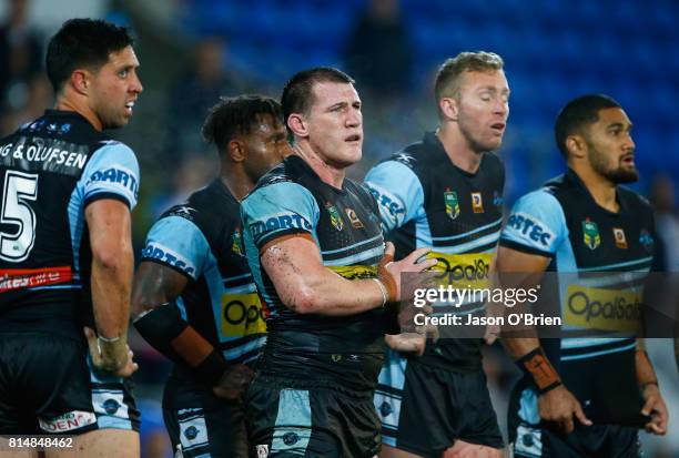 Paul Gallen of the Sharks looks on during the round 19 NRL match between the Gold Coast Titans and the Cronulla Sharks at Cbus Super Stadium on July...