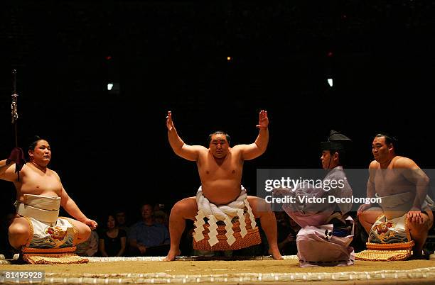 Sumo Ranks In Order Yokozuna Photos and Premium High Res Pictures - Getty Images