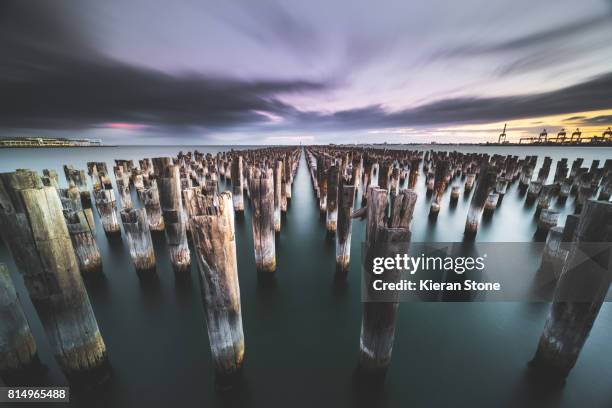 old pier pylons in the bay - port phillip bay stock pictures, royalty-free photos & images