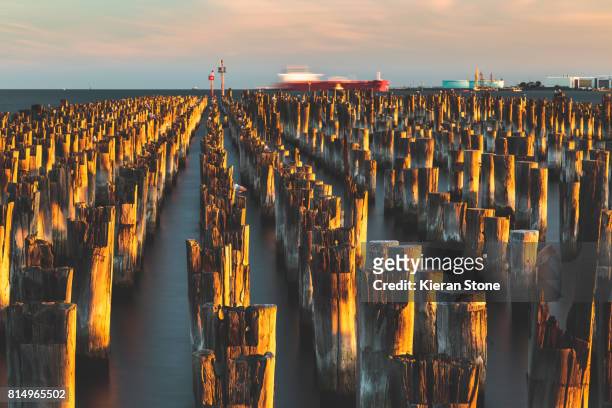 old pier pylons in the bay - port phillip bay stock pictures, royalty-free photos & images