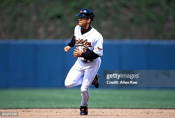Baltimore Orioles 1998 Season File Photos Photos and Premium High Res
