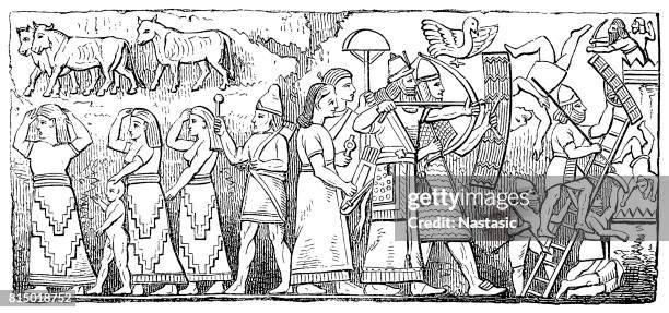 antike assyrische reliefs - sumerian art stock-grafiken, -clipart, -cartoons und -symbole