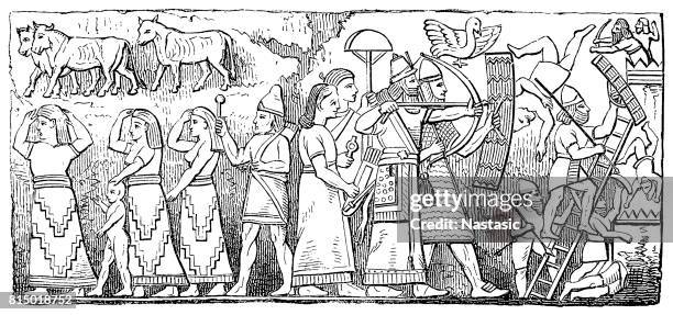 ilustrações de stock, clip art, desenhos animados e ícones de ancient assyrian reliefs - mesopotâmio