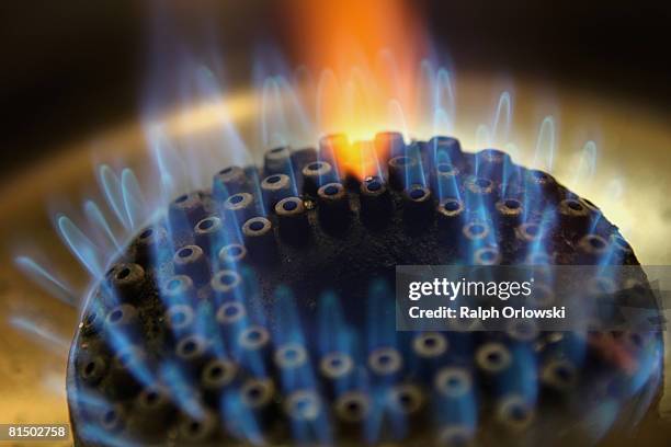 Flame burns on a gas stove on June 9, 2008 in Frankfurt, Germany. The German Department of Environment expects a rise of natural gas prices by forty...