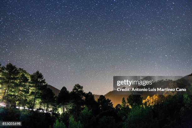 wooded landscape illuminated at night. - cazorla stock pictures, royalty-free photos & images