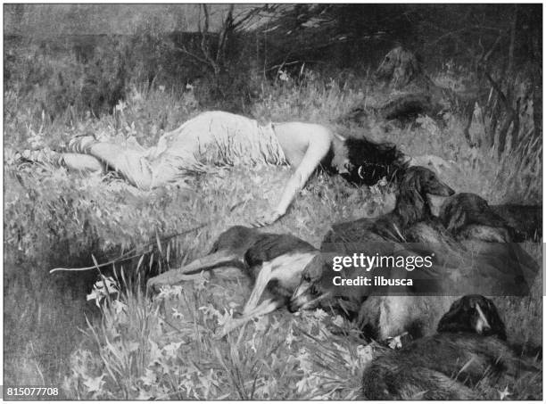 antique photo of paintings: woman with dogs - unconscious stock illustrations