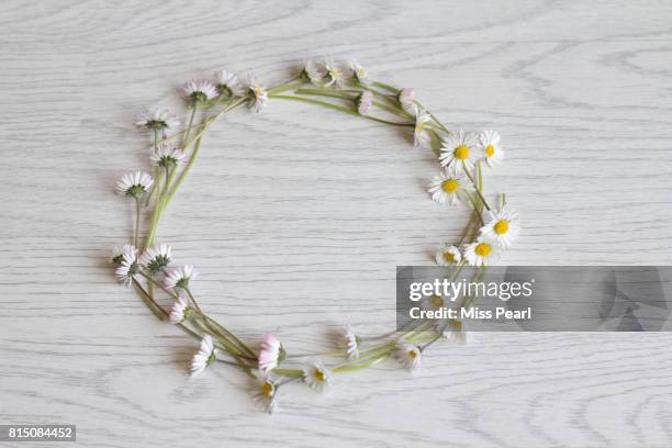 daisy flowers in a circle crown on table top - blumenkrone stock-fotos und bilder