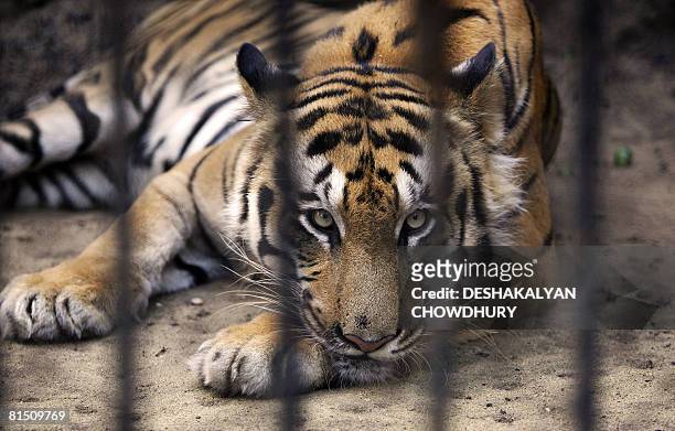 229 Kolkata Zoo Photos and Premium High Res Pictures - Getty Images