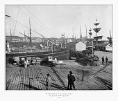 Harbor of Auckland, New Zealand, Antique New Zealand Photograph, 1893