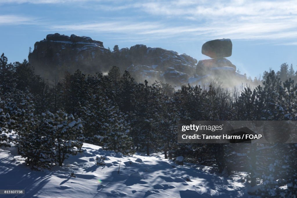 Scenic view of nature in winter