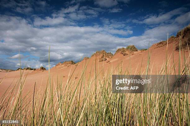 Balmide 45 Balmedie Beach Stock Photos, High-Res Pictures, and Images - Getty ...